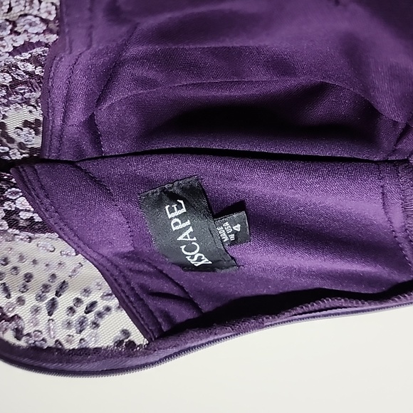 XCape Sleeveless Beaded Scoop-neck Collar Evening Gown Size 4 - Picture 11 of 12